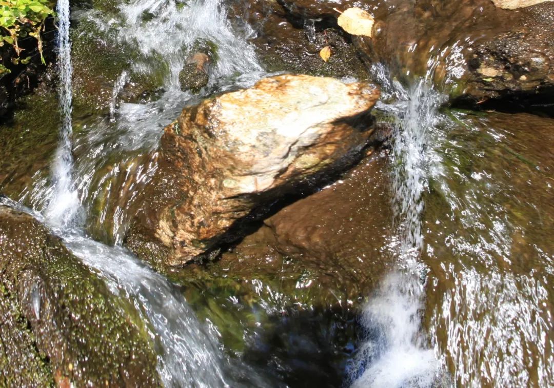 阿里河山泉水，清甜甘冽，喝上伊勒呼里的泉水心醉神迷