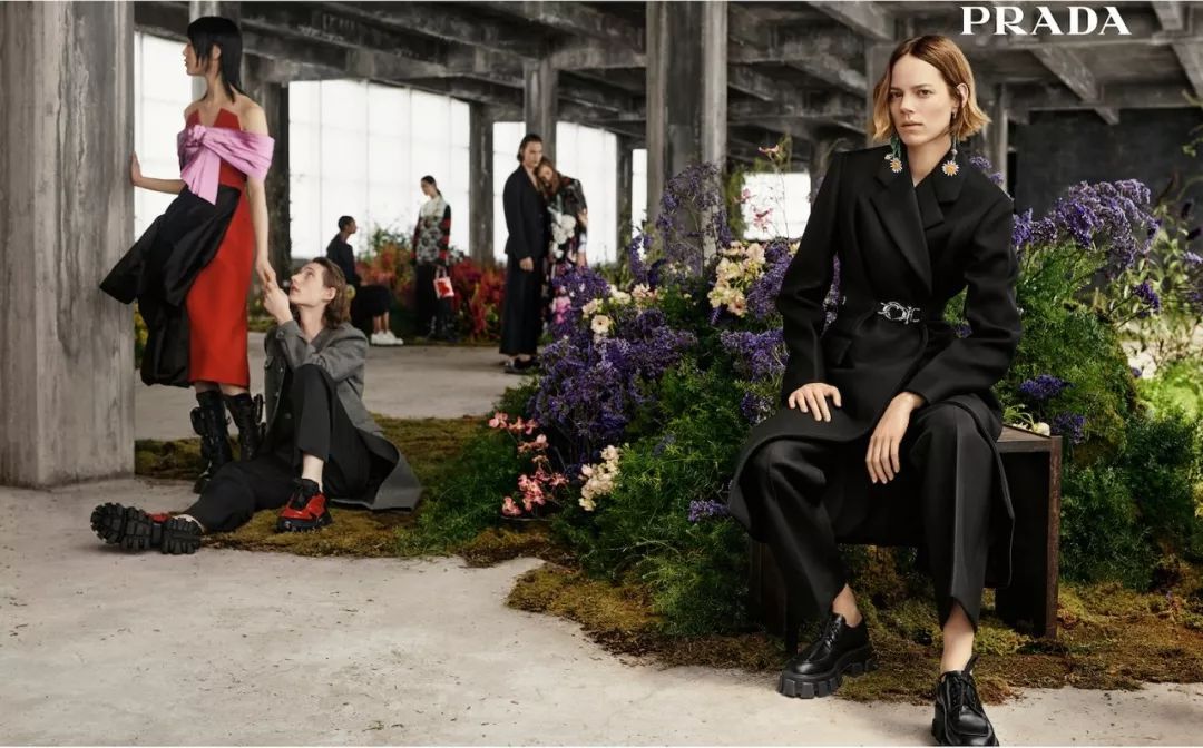 WesAnderson与他钟情的Prada