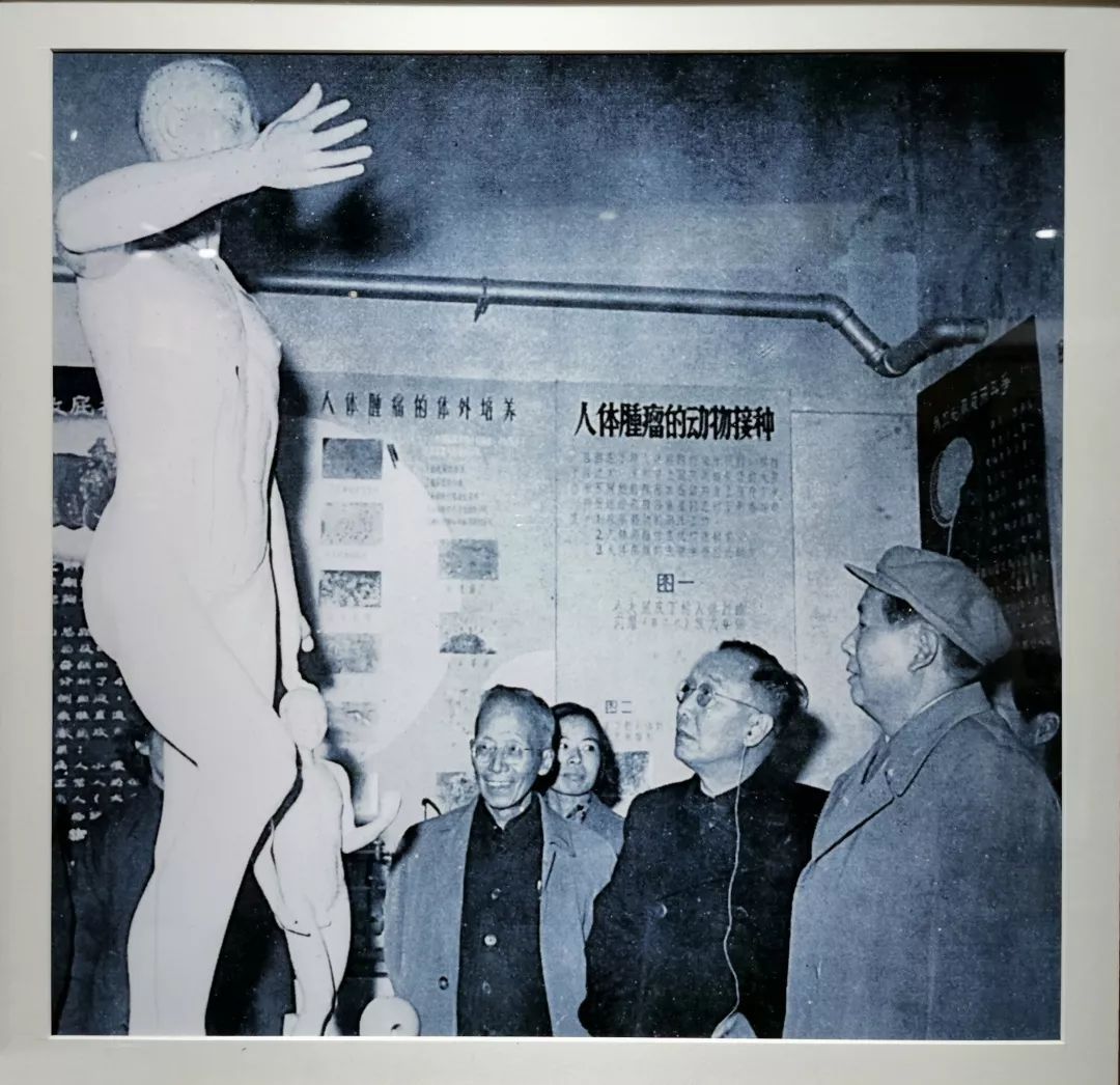 毛主席视之为“精华之精华”的医学技术