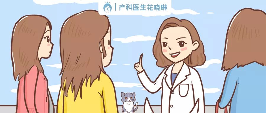 怀孕了能养宠物吗猫和狗,怀孕了养宠物还能继续养吗