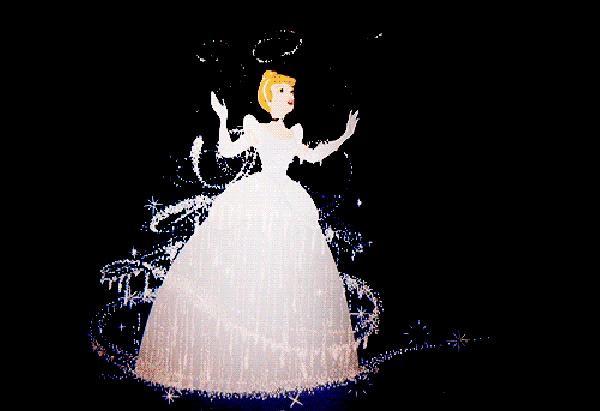 十一国庆节动物王国表演时间表,假期动物世界表演