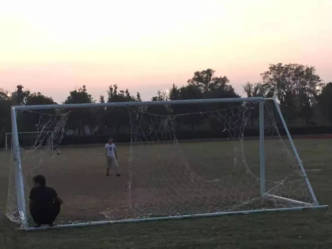 体育中心场地球场围网,体育中心改造两层看台