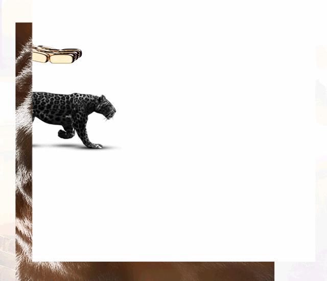 戴手表什么样的女人最漂亮,戴什么手表的女人最有气质