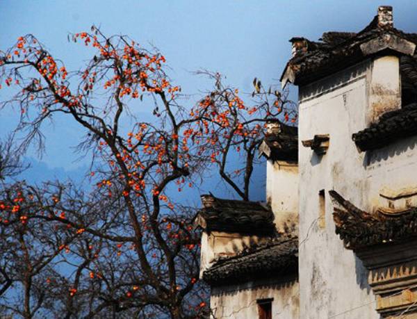 江西婺源十一旅游攻略,十一月婺源详细攻略