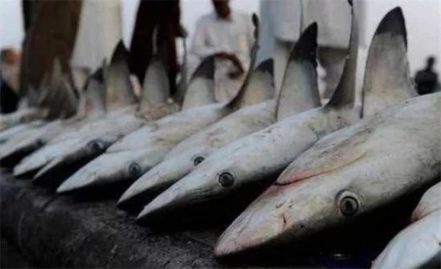 中国和迪拜谁有钱,迪拜沙特哪个有钱