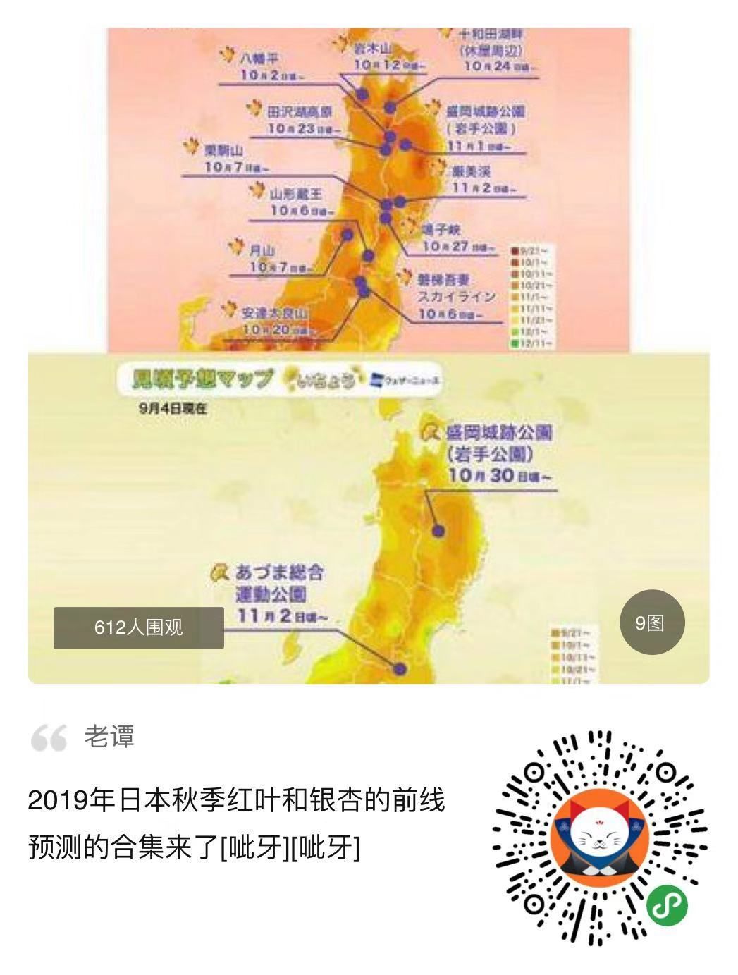 日本银杏叶保存,2019日本赏银杏