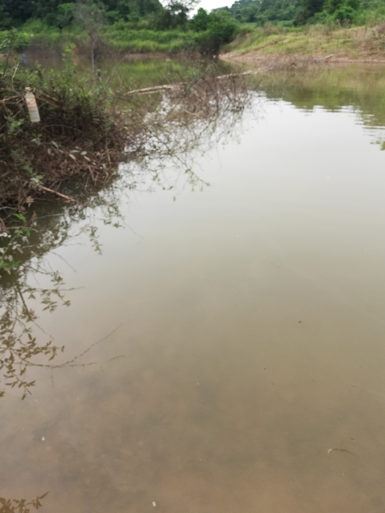 兄弟齐心不轻言放弃排除困难最终得圆满