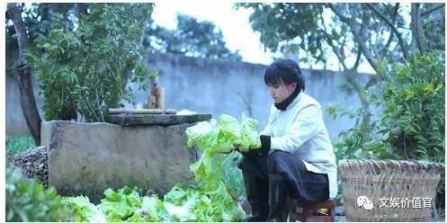 蔡徐坤李子柒,收入过亿的网红名单