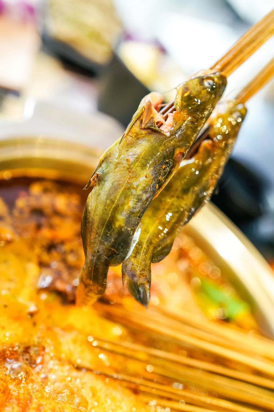 建设路串串屋头,屋头串串香泰来店