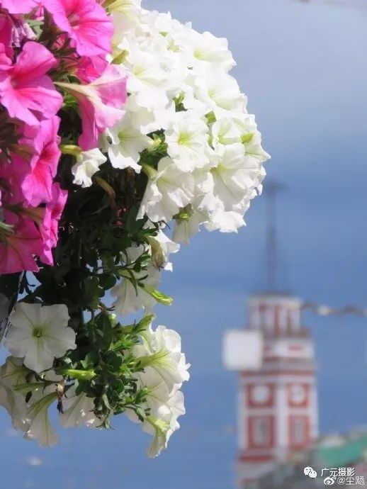 广元登顶看世界,广元看全城