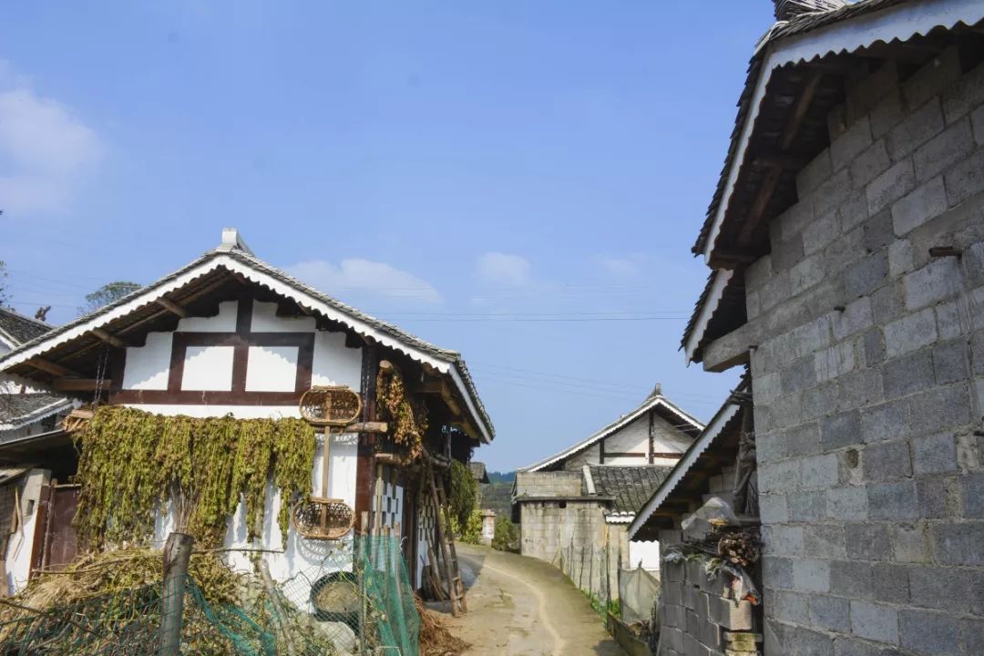 周末陪家人游大自然,周末陪家人到郊外游玩