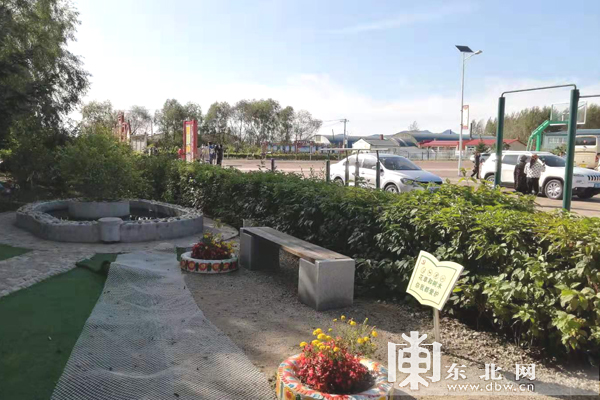 “丰收时节看发展”通河县桦树村：美丽乡村点点滴滴入画来