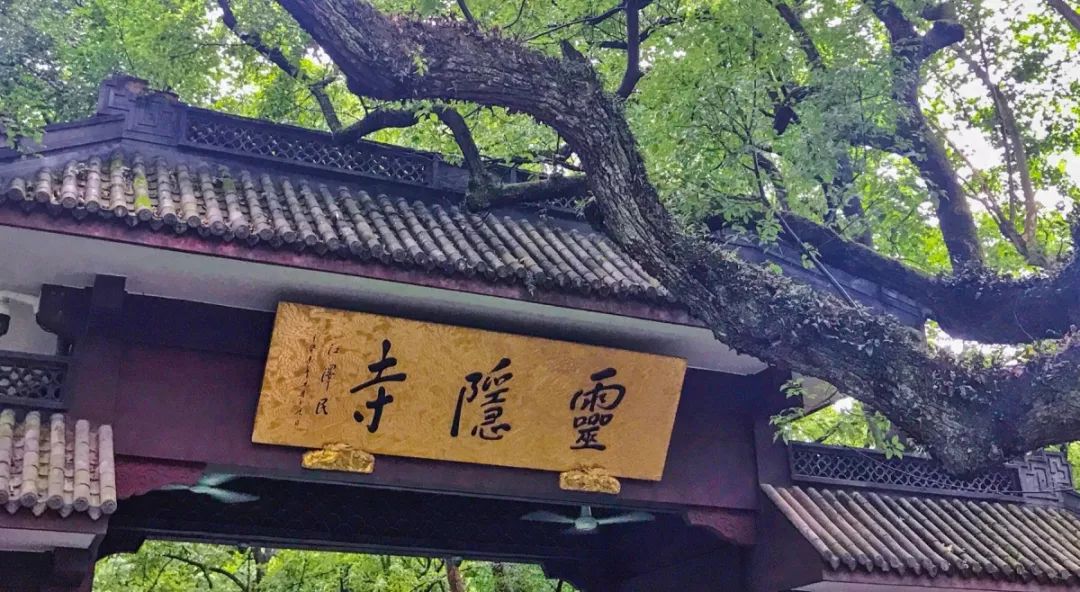 杭州风怎么这么大,杭州怎么经常刮大风