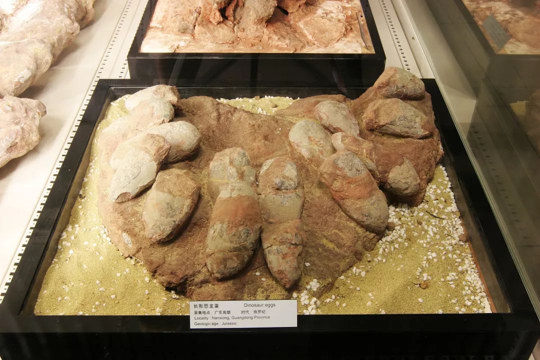 认识世界从哪里开始,认识世界从认识什么开始