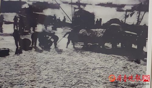 行走海岸线|荣成有个青鱼滩,鱼群曾多到插竿不倒