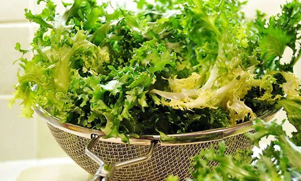 营养学这么重要但为什么不被重视,公认的营养学的深度解析