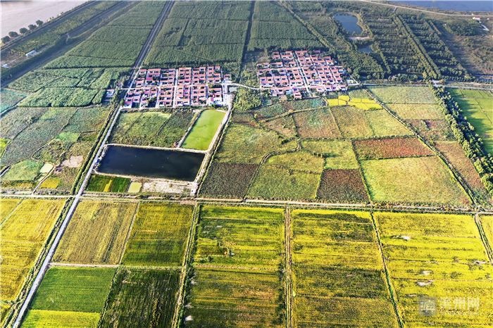 飞越滨州高新区：改革先行区厚植沿黄“城市之肺”