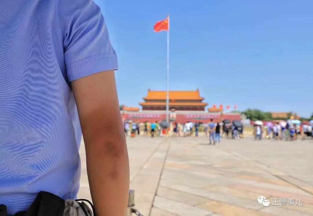 守护者2017在线观看,守护者72集