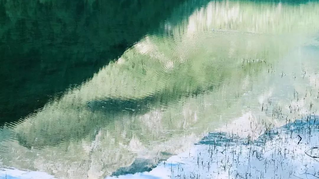 九寨沟恢复开园,九寨沟恢复迎客首游现场直播