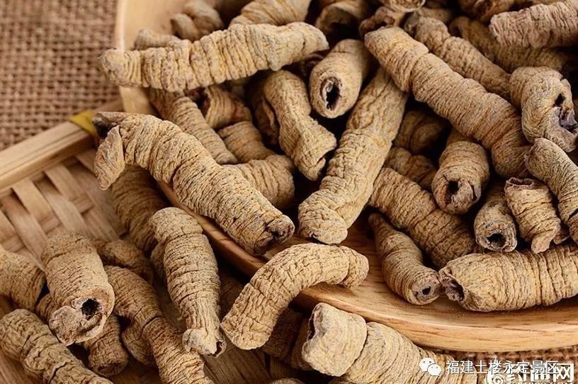 永定土楼柿子攻略,福建永定柿子节云端庆丰收