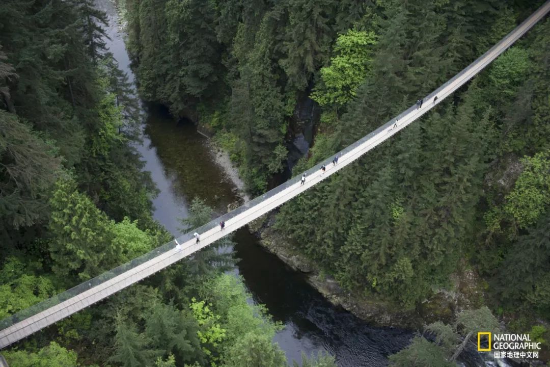 去加拿大必去景点有哪些地方,在加拿大10月中旬旅游地点推荐