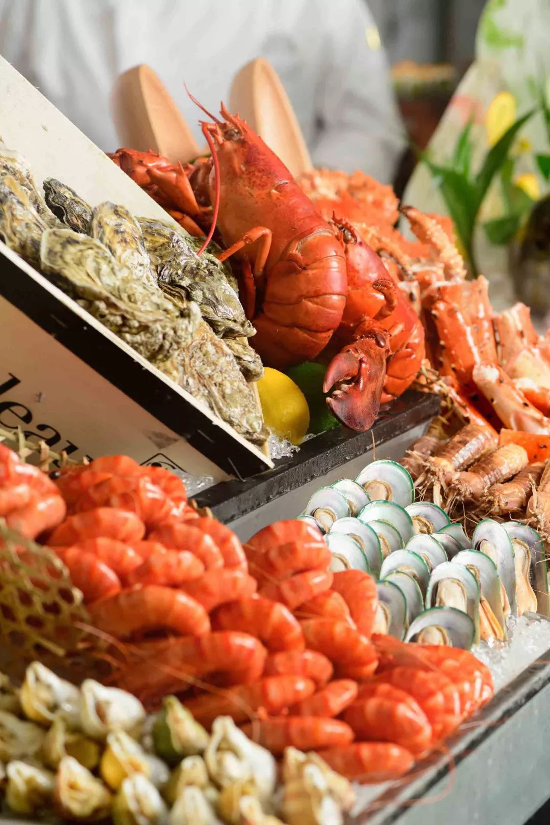 深圳湾五星级酒店推荐,深圳湾小众酒店