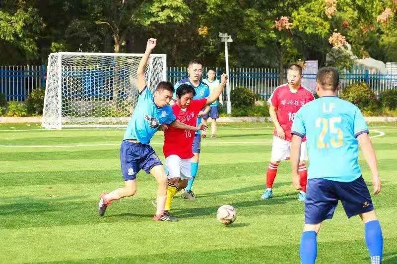 两虎相争13集,两虎大战精彩无比