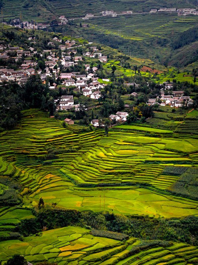 中国梦70周年绘画图片,70周年中国梦绘画作品图片