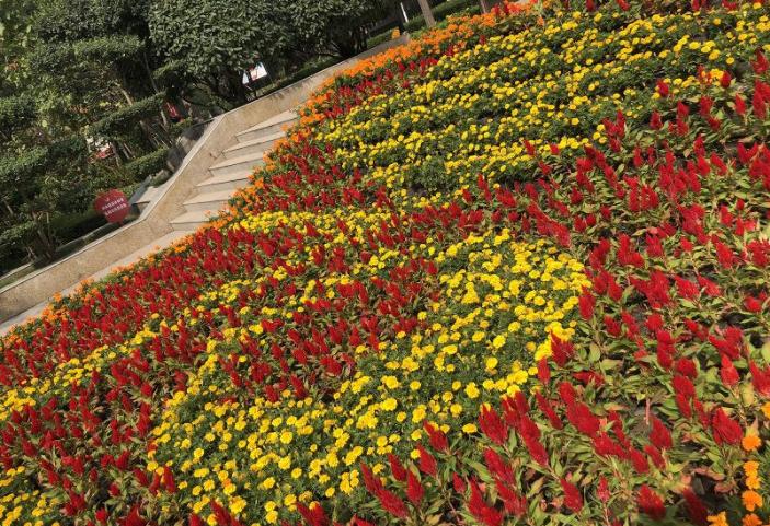 大变样！巩义再次颜值“逆天”，快去拍拍拍