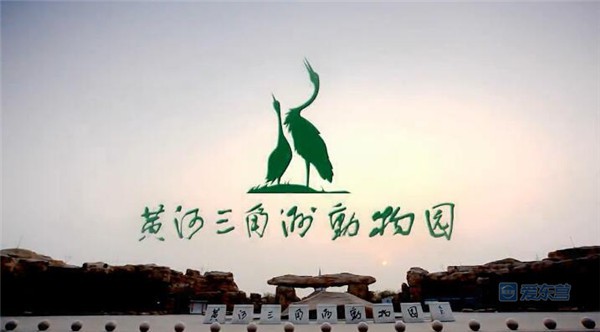 东营国庆免费的景点,国庆东营