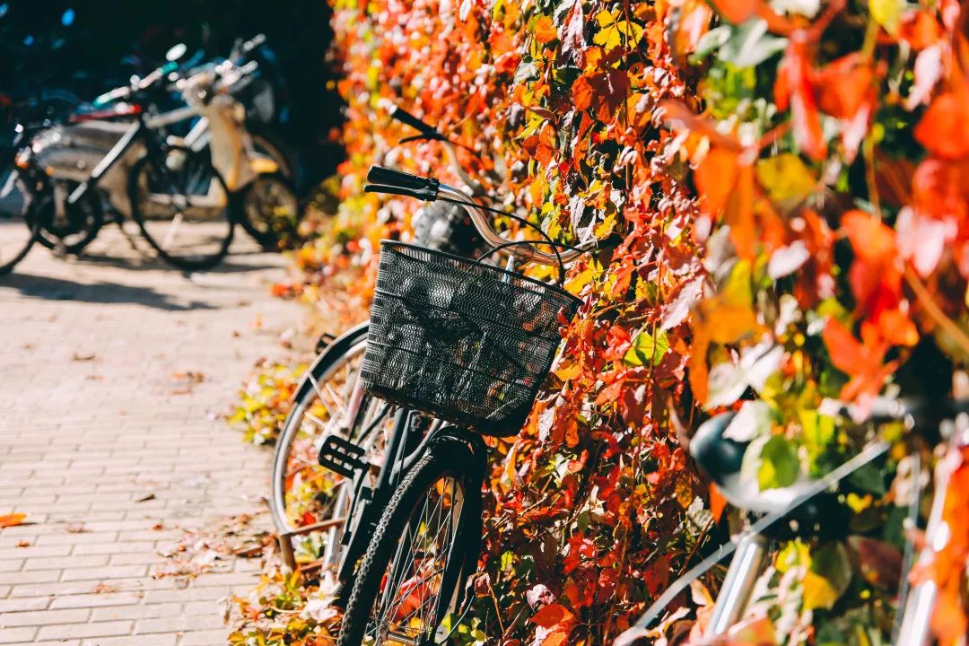 中国人民大学新消息,中国人民大学消息