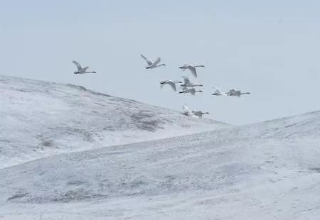 用影像记录我们登顶珠峰的全过程,攀登者观影简短感受100字