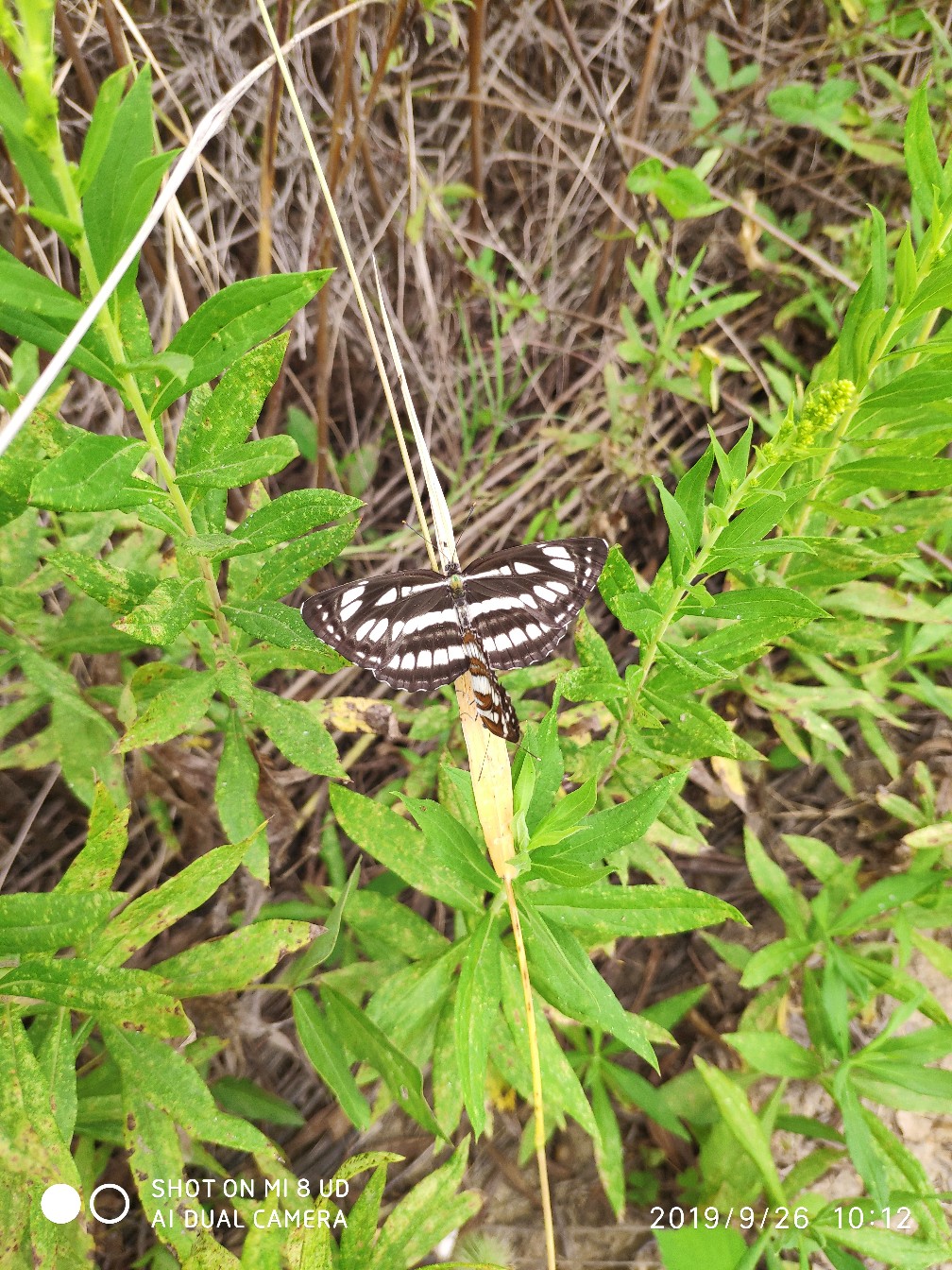 提高路亚中鱼率,打黑用什么假饵中鱼率高