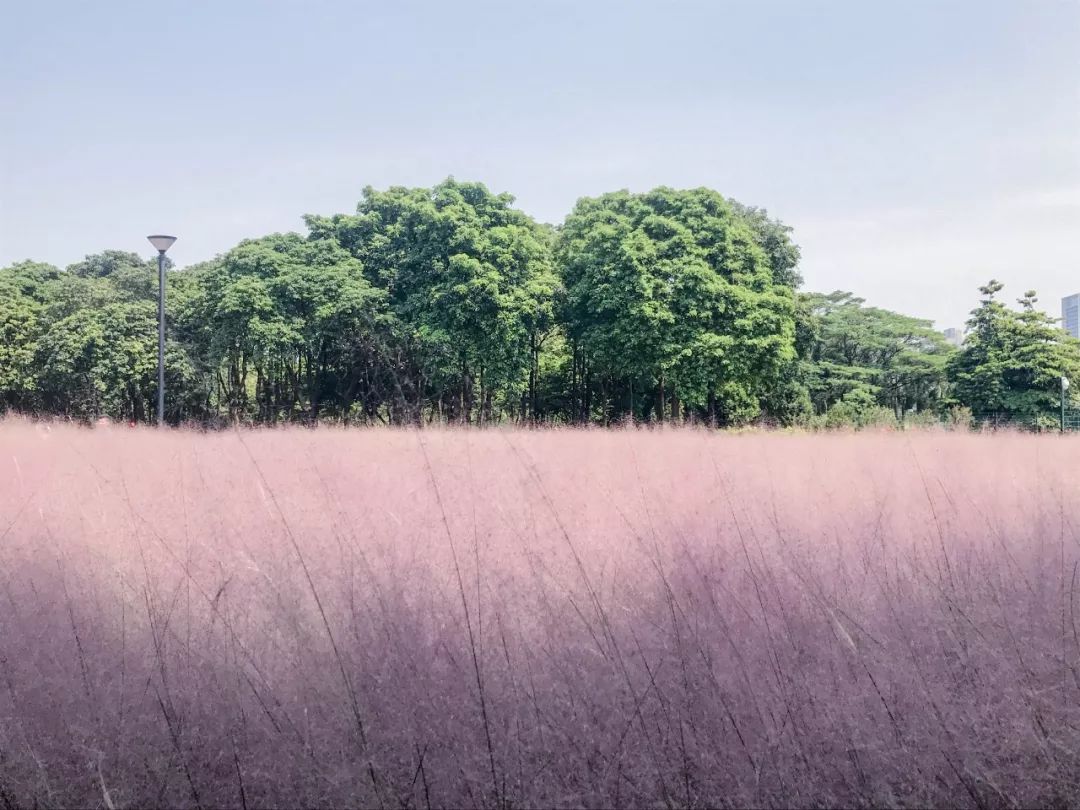 请回答1988广州恒大酒店 (请回答广州2018)