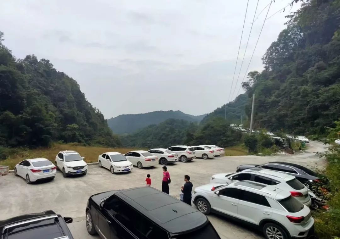 竹溪旅游最好的去处,竹溪网红打卡地今天视频