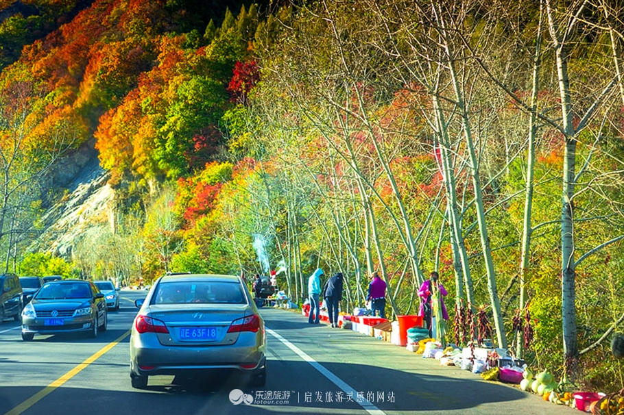 中华枫叶大道沿途风景区,中华枫叶大道红了吗