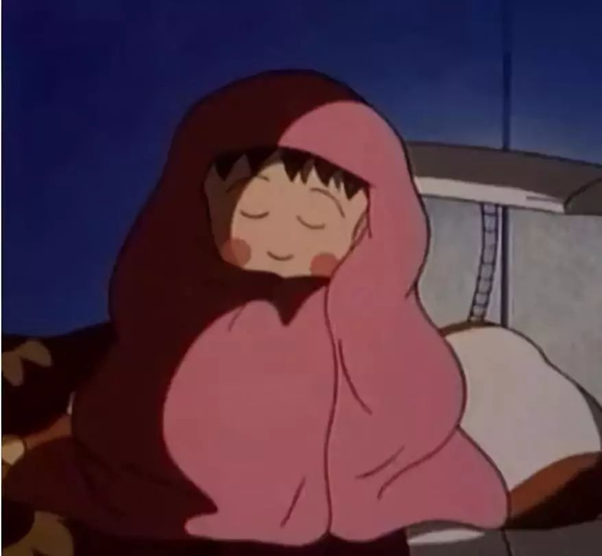 蚕丝被羊毛被鹅绒被哪种被子最好,驼绒被蚕丝被羊毛被谁更保暖