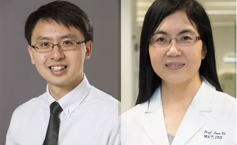 10月,33篇必读微生物研究:癌症、微生物药物、脑肠轴、皮肤-肠道轴、共生病毒、阴道微生物、菌群免疫互作、肠道黏液、粪菌移植