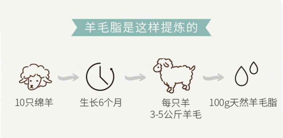 秋冬保湿必备面霜良心推荐,澳洲正品绵羊油面霜大容量200g