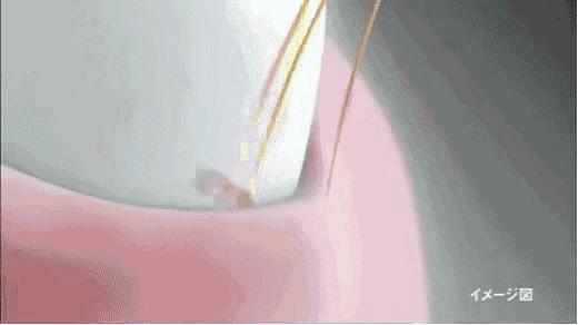 闪购|买网红亲子款牙刷，和宝宝一起打响牙齿保卫战