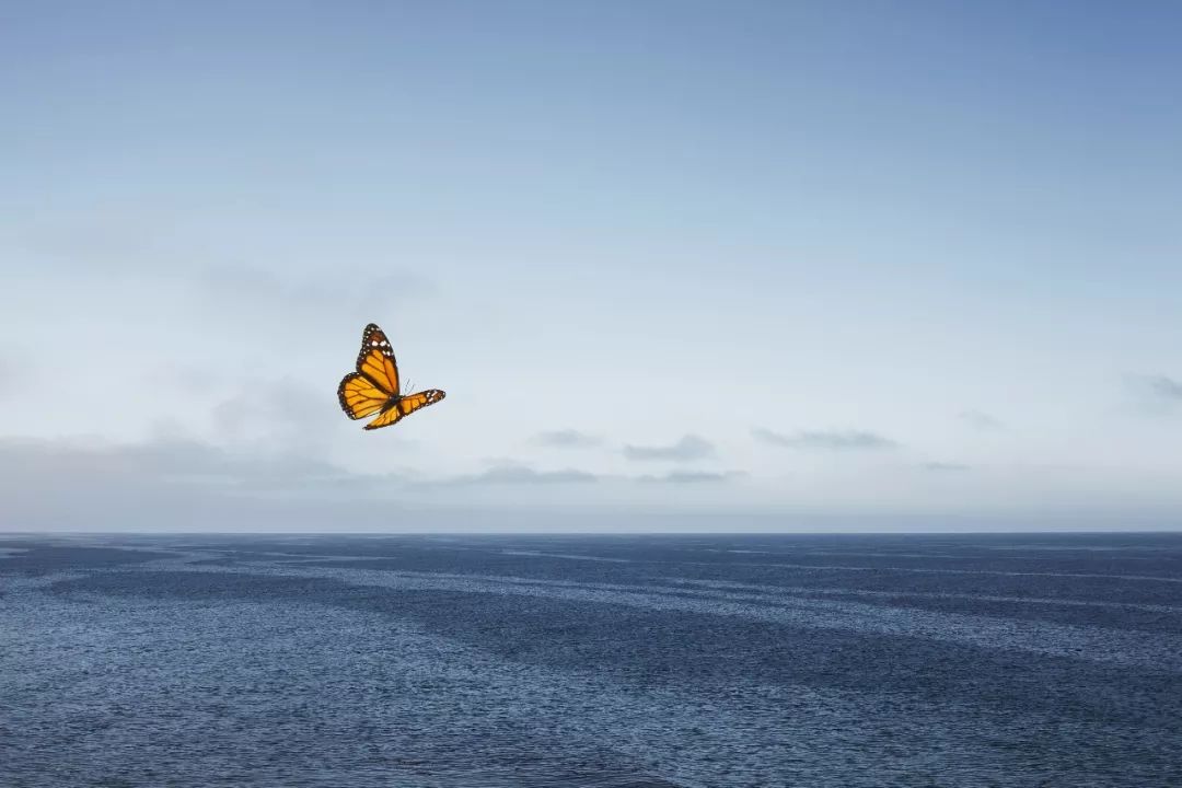 因为吃太多被老板辞退,因为吃完了一碗饭而自责