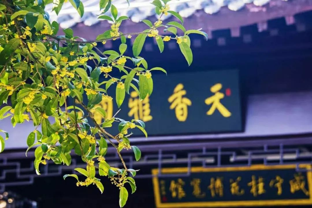 中国温泉之城历届名单,中国温泉之乡前十名