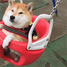 成都南门未来最大的足球场,成都最标准的足球场在哪里