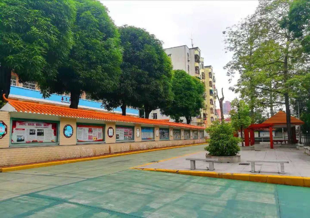 广州增城区小学前十名,广州增城学校排名前十名小学