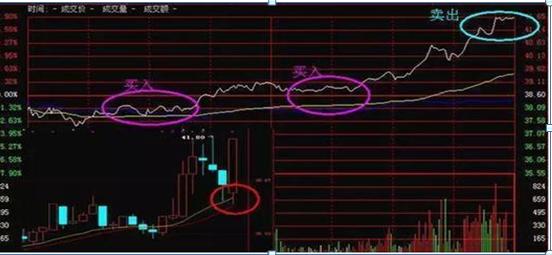 持有中石油股票靠分红能回本吗,股民48元买入中石油
