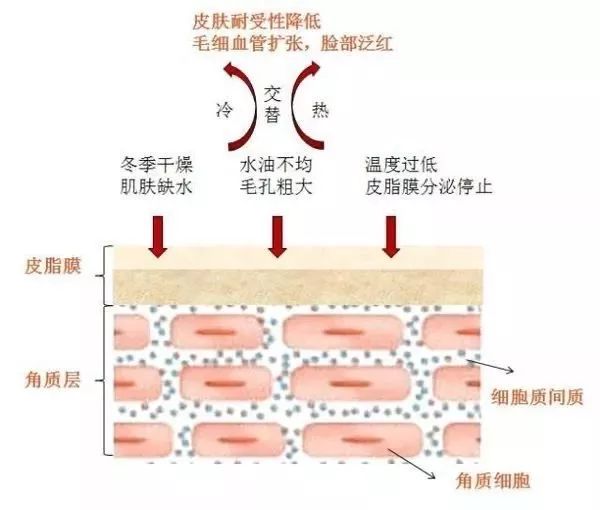 护肤八大误区之皮肤出油,护肤界的迷惑解密