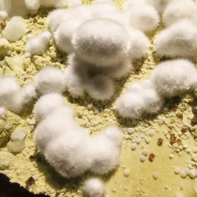 谁还不是个小可爱呢下一句,谁还不是小可爱