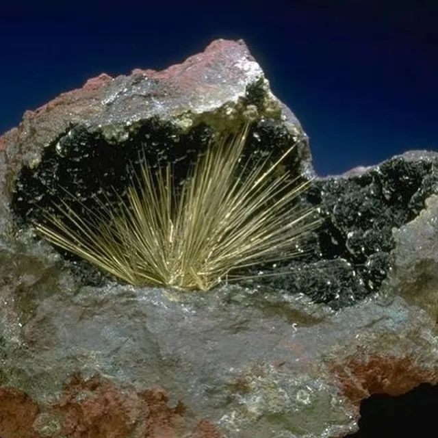 谁还不是个小可爱呢下一句,谁还不是小可爱