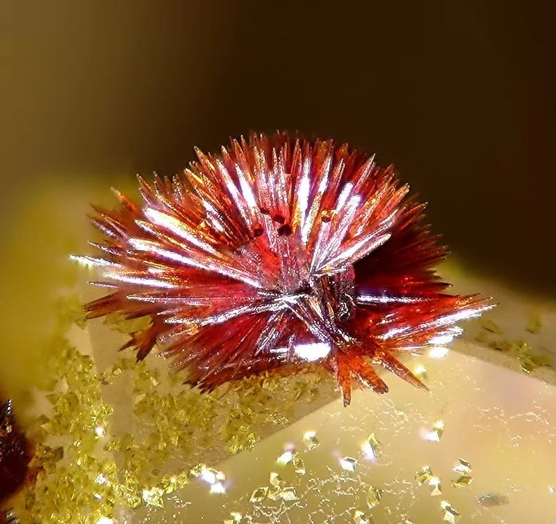 谁还不是个小可爱文案,谁小时候还不是个小可爱