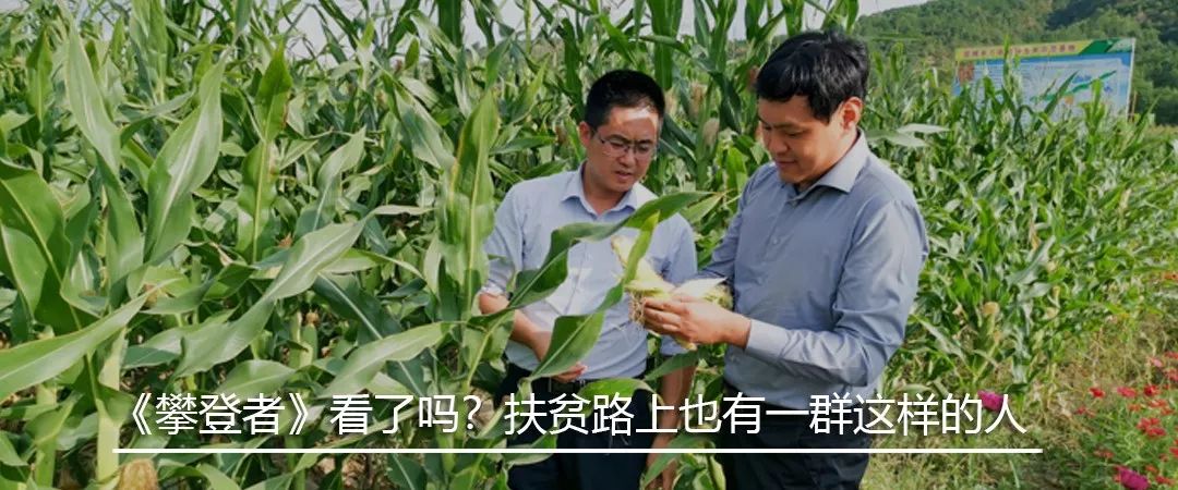 5个关键词！国投交通的扶贫之道